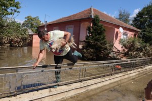 Οι καταστροφές στον Θεσσαλικό κάμπο φέρνουν κύμα ακρίβειας- Η μισή αγροτική και κτηνοτροφική παραγωγή γίνεται στην περιοχή [στοιχεία] - εικόνα 2