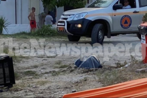 Γαλάτσι: "Χωρίς λόγο ο αστυνομικός τράβηξε όπλο" λέει η ιδιοκτήτρια του σκύλου - Η απάντηση της ΕΛΑΣ