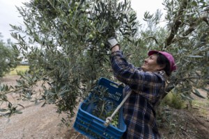Lockdown: Ποια μαγαζιά μένουν ανοιχτά στην καραντίνα - Ολη η λίστα