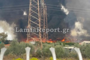 Αστυνομική βία: Στη δημοσιότητα η εξέλιξη των ΕΔΕ για τις καταγγελίες