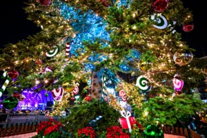 Σε χριστουγεννιάτικο ρυθμό η Αθήνα: Τοποθετήθηκε το τεράστιο δέντρο από τη Βυτίνα στην πλατεία Συντάγματος - εικόνα 5