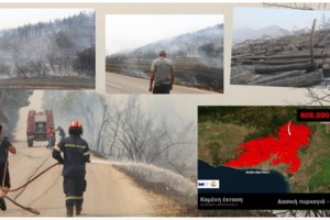 Φιλοθέη: Φωτιά σε οικόπεδο με δέντρα, δίπλα σε σπίτια  - Την έσβησαν εγκαίρως [βίντεο] - εικόνα 2