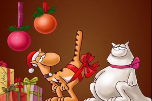 Αρκάς: Η... αγιοβασιλιάτικη καλημέρα με το σπουργίτι να "σφάζει με το γάντι" τον πατέρα του