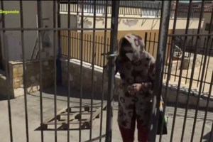 Βοιωτία: Αυτοψία εισαγγελέα στον λάκκο όπου έθαψε η 62χρονη τη μητέρα της - Έρευνα για ενδεχόμενη ανθρωποκτονία με δόλο [βίντεο]