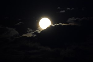 Το τηλεσκόπιο James Webb απεικόνισε τον ψυχρότερο εξωπλανήτη που έχει βρεθεί ποτέ- Έναν "σούπερ Δία"