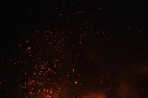 Achilles, Meryman, Russette, Synfull: Τι ονόματα έδιναν οι άνθρωποι στους σκύλους τους τον Μεσαίωνα