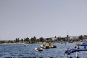 Μάρμαρα Παρθενώνα - Νία Βαρντάλος για την επιστροφή τους στην Ελλάδα: Ισάξια με την αποκατάσταση της Δημοκρατίας