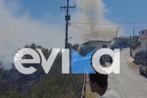Εκκενώθηκε ο Κρεμαστός Ευβοίας: Σε απόσταση αναπνοής από τα σπίτια οι φλόγες - Ενισχύθηκαν ξανά οι πυροσβεστικές δυνάμεις - εικόνα 4