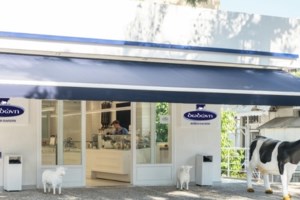 Η περιπέτεια στο Κολωνάκι για το Jackson's Hall και το νέο κατάστημα "Βενέτης" - Δέκα χρόνια χρειάστηκαν για να μαζέψουν τις άδειες - εικόνα 2