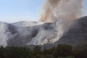 Μάχη με τις φλόγες και τις αναζωπυρώσεις από τους ανέμους - Τραυματίστηκε πυροσβέστης στην Κάρυστο [εικόνες-βίντεο]