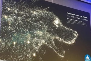 Γερμανία: Δυο 18χρονοι νεκροί από πυροτεχνήματα - Είχαν τραύματα στα πρόσωπά τους