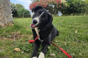 Τι συναισθήματα σάς προκαλεί αυτή η φωτογραφία;