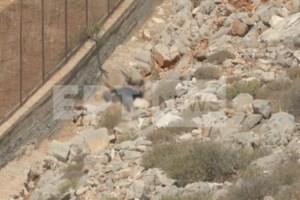 Σύμη: Διαψεύδει η ΕΛΑΣ ότι είχε βίντεο με τον Μόσλεϊ και δεν το αξιοποίησε - Τι αναφέρει το επίμαχο ρεπορτάζ - εικόνα 3