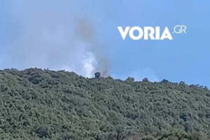 Υπό μερικό έλεγχο η φωτιά στην Κέρκυρα - Οριοθετήθηκε αυτή στο Άγιο Όρος - εικόνα 2