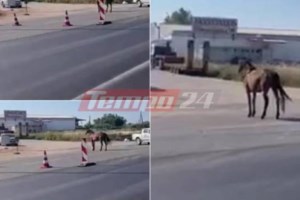 Απίστευτο τροχαίο στην Αρτέμιδα: Αμάξι καρφώθηκε όρθιο σε είσοδο καταστήματος [εικόνες]