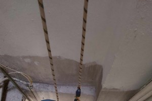 Aναταραχή από τον φόνο γάτας και την ελαφρά ποινή που επιβλήθηκε στον δράστη - Συλλογές υπογραφών και συγκεντρώσεις - εικόνα 2