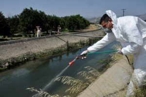 Σέρρες: Νέο κρούσμα του ιού του Δυτικού Νείλου- Σε γυναίκα 87 ετών