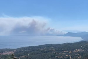 Μεγάλη φωτιά σε μαγαζί αθλητικών στη Θεσσαλονίκη: Εκκενώθηκε προληπτικά και ο "Μουστάκας" [εικόνες, βίντεο]