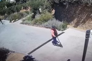 Ροζ Πάνθηρες: Βαρύ παρελθόν για τους Σέρβους διαρρήκτες του κοσμηματοπωλείου - Εκαναν τους τουρίστες μετά τη ληστεία - εικόνα 2