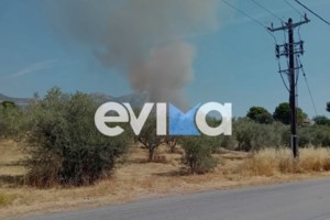 Οριοθετήθηκε η πυρκαγιά στην Αγία Μαρίνα Γραμματικού - εικόνα 2
