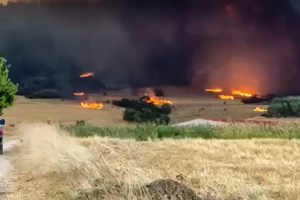 Αλεξανδρούπολη: Αγρότης ξέσπασε σε κλάματα βλέποντας την καταστροφή στο Αετοχώρι - "Δεν έμεινε τίποτα" [βίντεο]