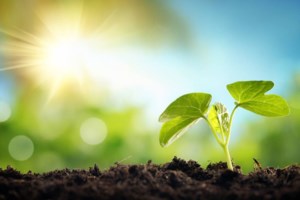 Διάστημα: Ένα αστέρι καταπίνει ολόκληρο πλανήτη - "Η Γη θα έχει παρόμοια μοίρα σε πέντε δισ. χρόνια"