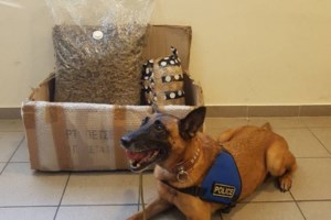 Νέα Ζηλανδία: Αποκάλυψη από την πρωθυπουργό της χώρας – "Έχω δοκιμάσει κάνναβη"