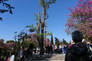 Μαρουσάκης-Τσατραφύλλιας: Τι λένε για το πολικό κύμα που θα χτυπήσει την Ελλάδα τις επόμενες ημέρες - εικόνα 2