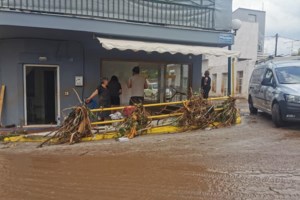 Τραγωδία στην Εύβοια: Πνίγηκε βρέφος 8 μηνών από την κακοκαιρία - Πέντε οι νεκροί, ένας αγνοούμενος - Τι δήλωσε ο Ν. Χαρδαλιάς - εικόνα 9