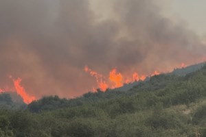 Σε εξέλιξη πυρκαγιά στην Ανάληψη Μεσσήνης: Επιχειρούν εναέρια μέσα