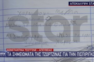 Ρούλα Πισπιρίγκου: Η οικογένειά της μηνύει τον δικηγόρο της σπιτονοικοκυράς - "Πήρε την τσάντα της Τζωρτζίνας" - εικόνα 3