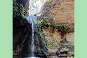 Πρέβεζα: Ενταφιάστηκαν παράνομα πάνω από 200 τόνοι ζωικών υπολειμμάτων από την Κέρκυρα κοντά στον ποταμό Λούρο - εικόνα 3