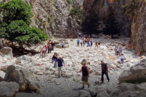 "Φάμπρικα ελληνοποιήσεων": Ποινική δίωξη για εγκληματική οργάνωση σε αστυνομικούς, δημοτικούς υπαλλήλους και δικηγόρο