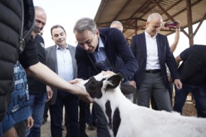 Μητσοτάκης από Κατερίνη: Δεν είναι τώρα η ώρα να ξανακυλήσουμε την πολιτική ζωή της χώρας στο βούρκο - εικόνα 4