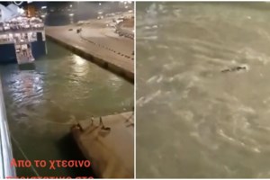 Blue Horizon: Αυτός είναι ο 36χρονος Αντώνης που τον έπνιξαν στο λιμάνι του Πειραιά - εικόνα 3