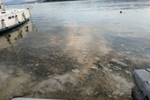 "Όχι στο χάραγμα του Αντίχριστου": Συγκέντρωση κατά των νέων ταυτοτήτων και του Προσωπικού Αριθμού [βίντεο]