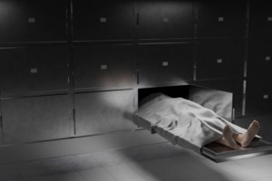 Συμμορία... ταριχεύσεων και καλλωπισμού σορών με ιατροδικαστή, πρώην αστυνομικό και εργολάβους κηδειών - εικόνα 2