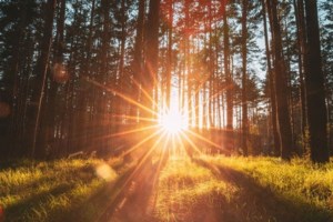 Συγκέντρωση πυρόπληκτων στο Σύνταγμα: ''Όλοι οι πληγέντες είμαστε μια γροθιά - Διεκδικούμε να μείνουμε στον τόπο μας'' - εικόνα 4