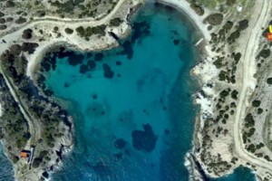 Αυτό είναι το άγνωστο φοινικόδασος της Αττικής, που απέχει μόλις 45 λεπτά από το κέντρο της Αθήνας [βίντεο] - εικόνα 2