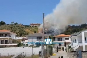 Οι "δέκα πληγές του Φαραώ" στην Κοζάνη: Σμήνη ακρίδων κατέστρεψαν καλλιέργειες με πιπεριές Φλωρίνης