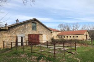 Συγκροτείται κυβερνητική επιτροπή για την αξιοποίηση του Τατοΐου - Ποιοι συμμετέχουν