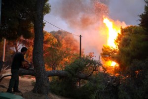 Δήμαρχος Διονύσου για την εκκένωση του Κρυονερίου: Μακάρι να ξυπνήσαμε άδικα τον κόσμο με το 112 - εικόνα 2