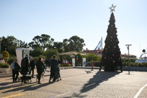 Καιρός: Πρωτοχρονιά όπως... Πάσχα - Για τη "θερμότερη έναρξη νέου έτους" προειδοποιεί ο Αρναούτογλου - εικόνα 2
