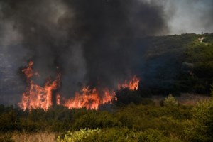 Φωτιά σε δάσος στο 'Αγιο Όρος - Υπό μερικό έλεγχο η πυρκαγιά στη Ροδόπη