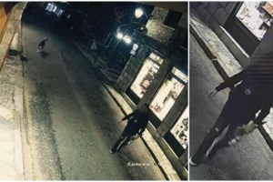 Αράχωβα: Ώρες πριν τον θανάσιμο τραυματισμό του χάσκι η φωτογραφία με τον άγνωστο άντρα, λέει η αστυνομία [βίντεο]