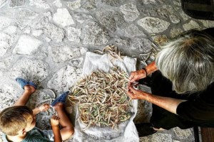 "Ακριβή μου ξαπλώστρα": Ακριβότερες κατά 30% οι διακοπές στην Ελλάδα, λέει ο γερμανικός Τύπος