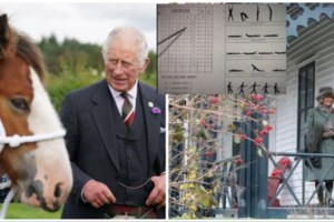 Η επικίνδυνη επιλογή του Καρόλου:  Ο γιατρός που θεραπεύει με "το νύχι του διαβόλου" και το "κεράτινο κατσικίσιο ζιζάνιο" - εικόνα 4