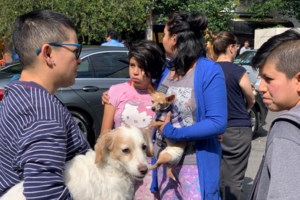 Κορονοϊός: Η Βόρεια Μακεδονία ανοίγει την Παρασκευή τα χερσαία σύνορά της