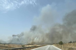 Φωτιές σε Δομοκό και Αλμυρό - Στη μάχη της κατάσβεσης και εναέρια μέσα