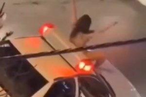 Φρίκη στο Ιράν: Σκότωσε τη 18χρονη κόρη του στη μέση του δρόμου γιατί αποκάλυψε στη μητέρα της ότι την απατούσε - εικόνα 3